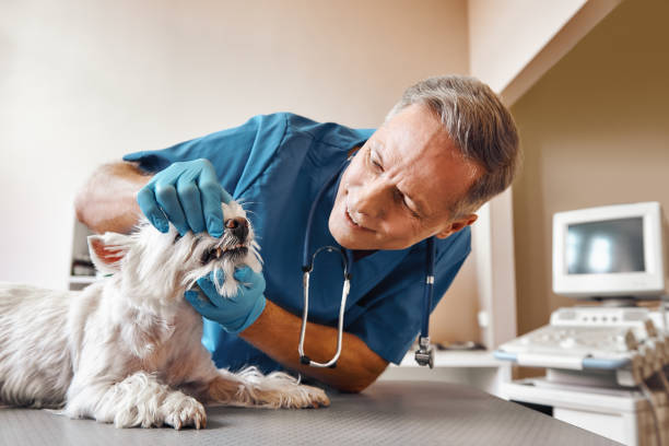 Best Cracked Tooth Emergency Dentist  in Baldwin, MI