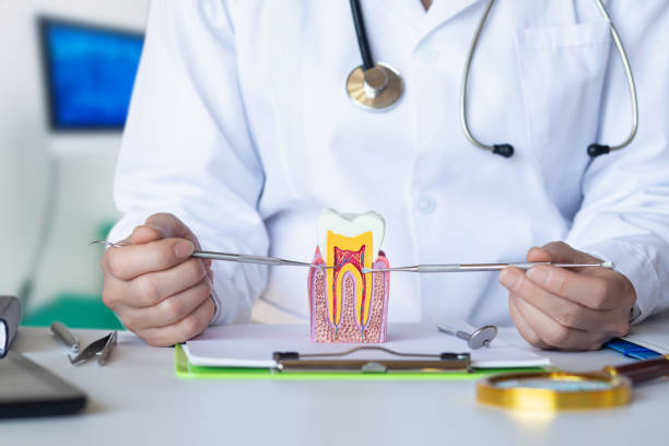 Best Chipped Tooth Repair Near Me  in Baldwin, MI